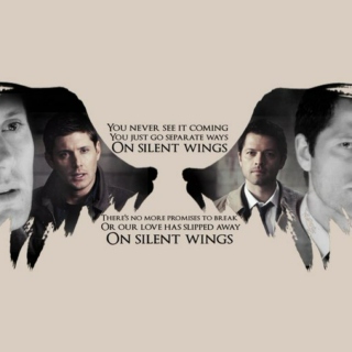 On Silent Wings