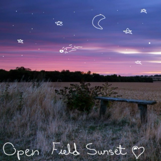 Open Field Sunset