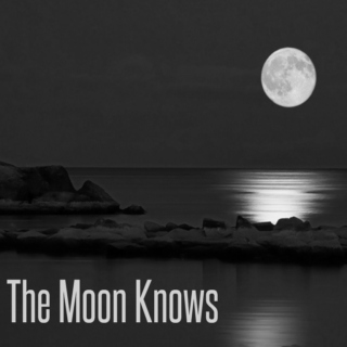 ::The Moon Knows::