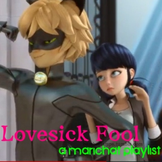 Lovesick Fool (MariChat)