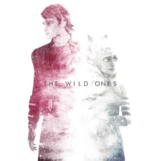 Momento Vol. I: The Wild Ones