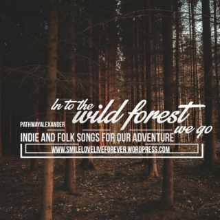 In to the wild forest we go, journey of our lifetime, indie and folk songs.
