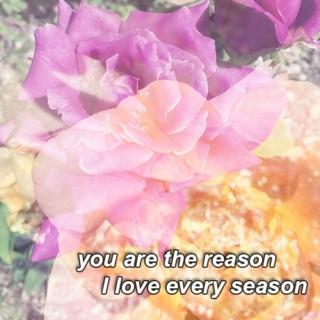 you are the reason, I love every season; for girls who love girls
