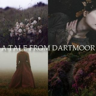 A Tale from Dartmoor
