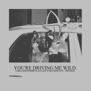 YOU'RE DRIVING ME WILD.