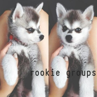 rookie groups