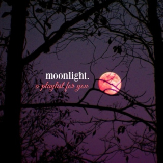 moonlight.