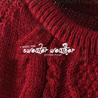 s.weater weather covers