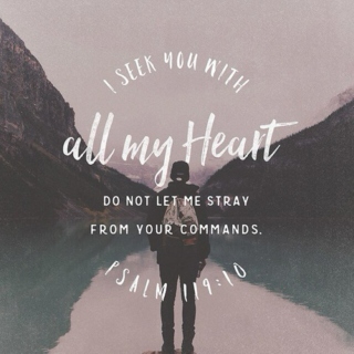 PSalm 119:10