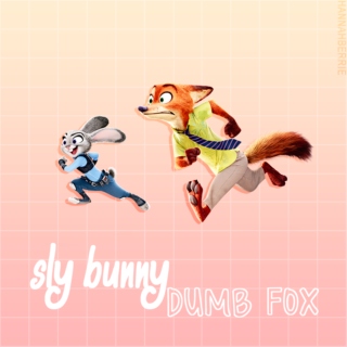 Sly Bunny / Dumb Fox