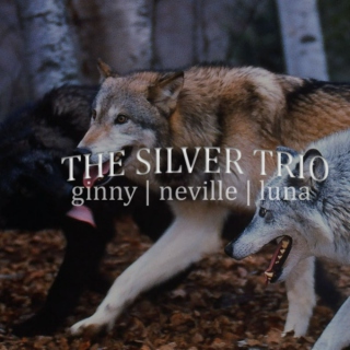 Silver Trio