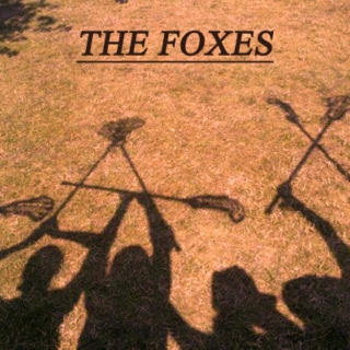 the foxes
