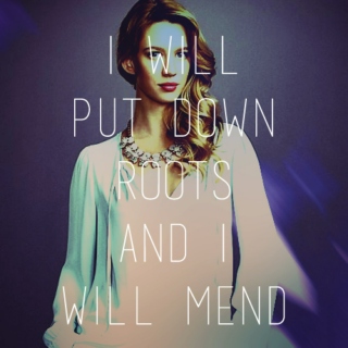 i will put down roots & i will mend