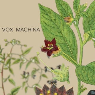 Vox Machina