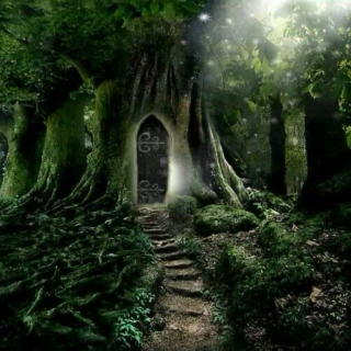 Enchanted Forest Dream