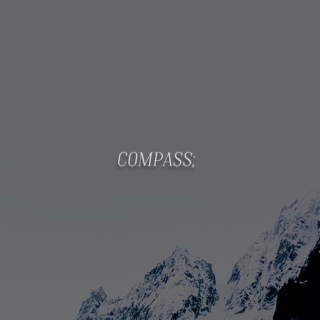 compass;