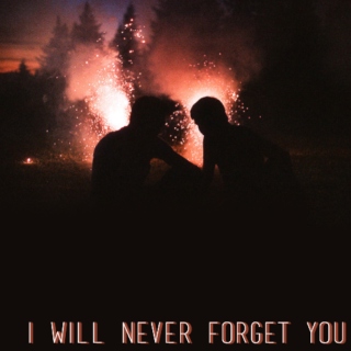 i will never forget you { a max / ves fanmix }