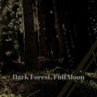Dark Forest, Full Moon