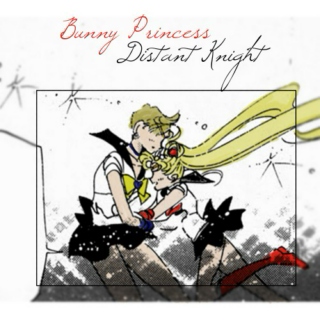 Bunny Princess, Distant Knight