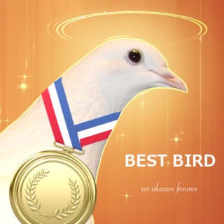 BEST BIRD 