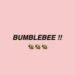 bumblebee !