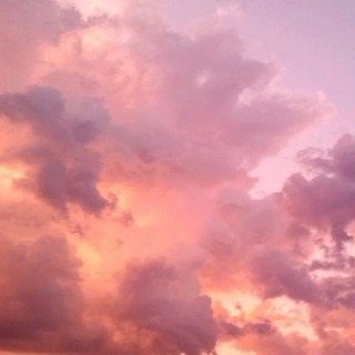 pink summer sunset dream