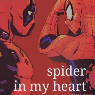 spider in my heart
