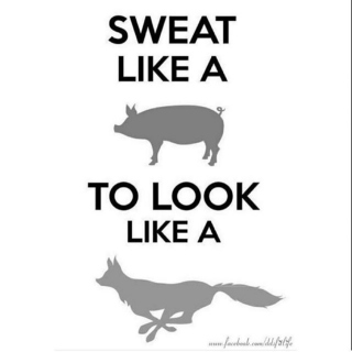 Sweat Like A Pig To Look Like A Fox