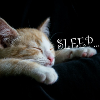 SLEEP......