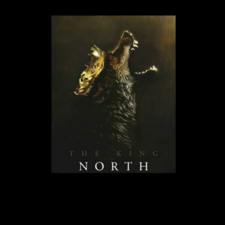 The King in the North