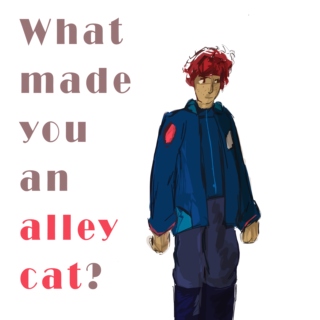 What made you an alley cat?