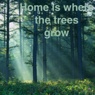 Home is where the trees grow