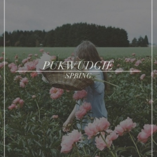 Pukwudgie: Spring