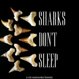 sharks don't sleep