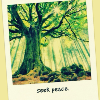 Breathe Deep Seek Peace