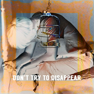 Don't Try To Disappear