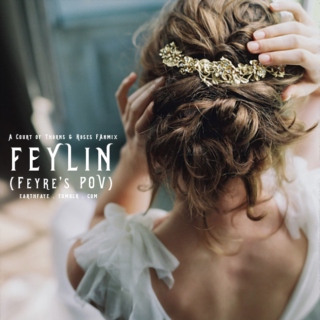 Feylin (Feyre x Tamlin - Feyre's POV)