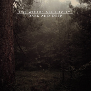 the woods are lovely dark and deep