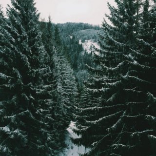 this playlist smells like pine trees in winter