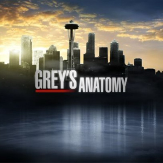 Grey's Anatomy Favourites