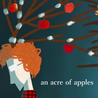 an acre of apples