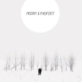 Moony & Padfoot