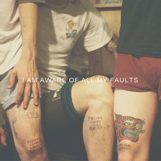 i am aware of all my faults