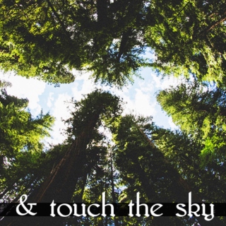 & touch the sky