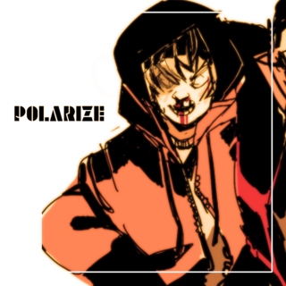 Polarize