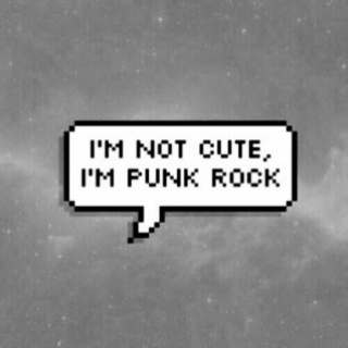 im not cute im punk rock