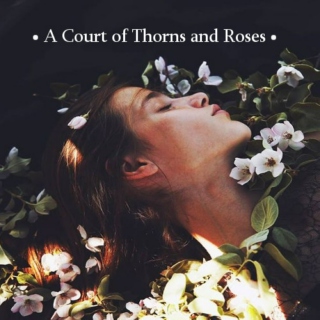 A court of thornes and roses
