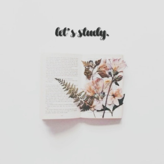 let's study