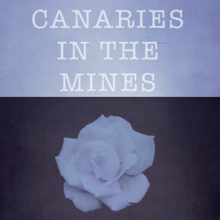 CANARIES IN THE MINES