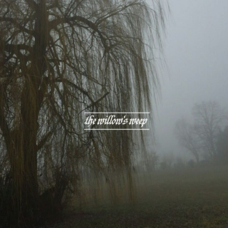 the willow's weep
